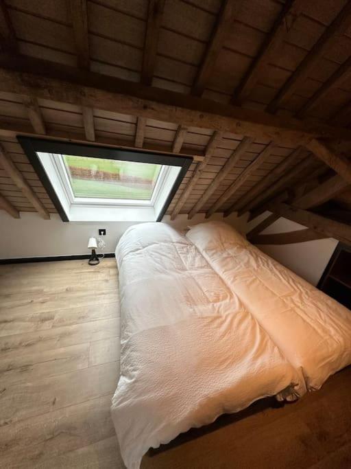 Du Fenil Apartment Lobbes